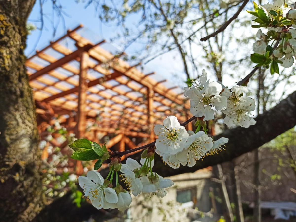 Jermatun Guest House 딜리잔 외부 사진